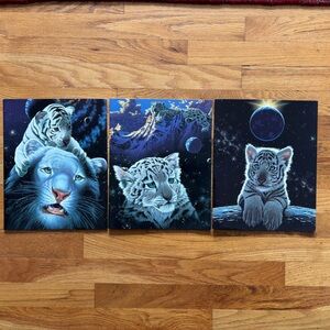 Vintage Mead Schim Schimmel Portfolio Folder Set Of 3 White tiger 1999 Retro